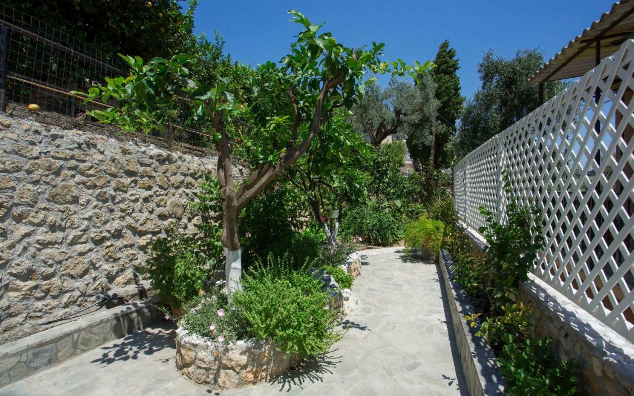 Thalassa Studios Paleokastritsa Dış mekan fotoğraf
