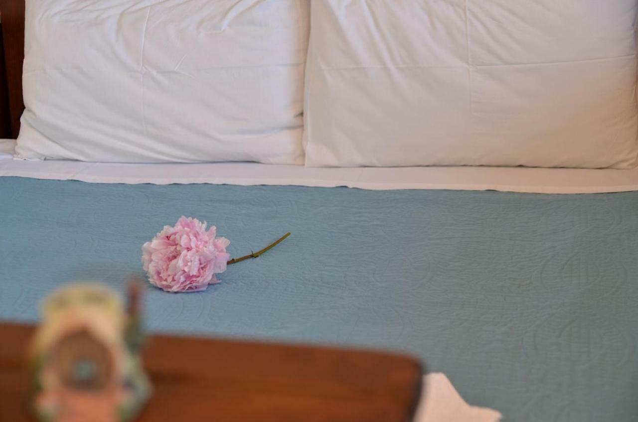 Thalassa Studios Paleokastritsa Dış mekan fotoğraf